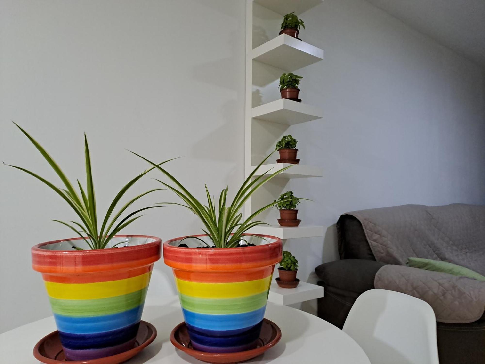 Apartament Apartamento Toyo, Parque Natural Cabo De Gata Almería Zewnętrze zdjęcie